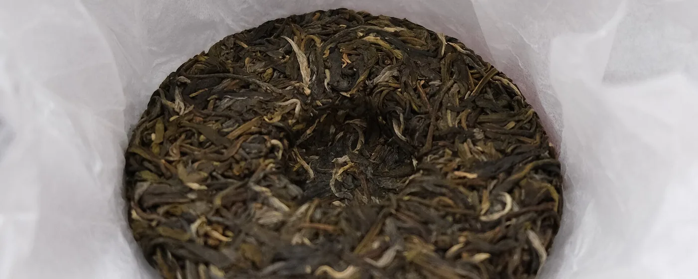 Unwrapped raw pu-erh tea cake with golden-tipped compressed leaves resting on white tissue paper
